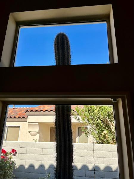 Aqua Pro Company Window Cleaning