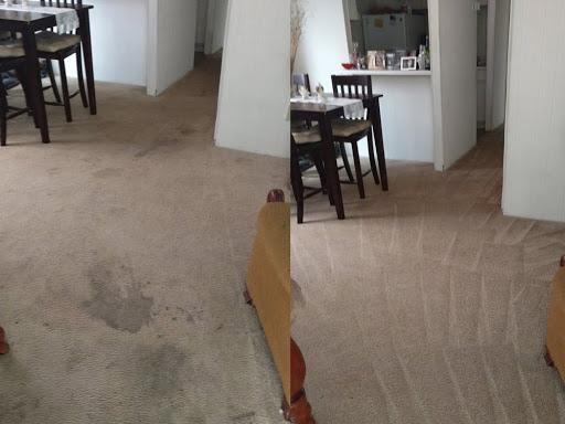 Total Clean Carpet Care