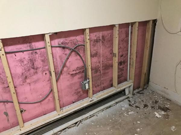 New Rochelle Mold Removal