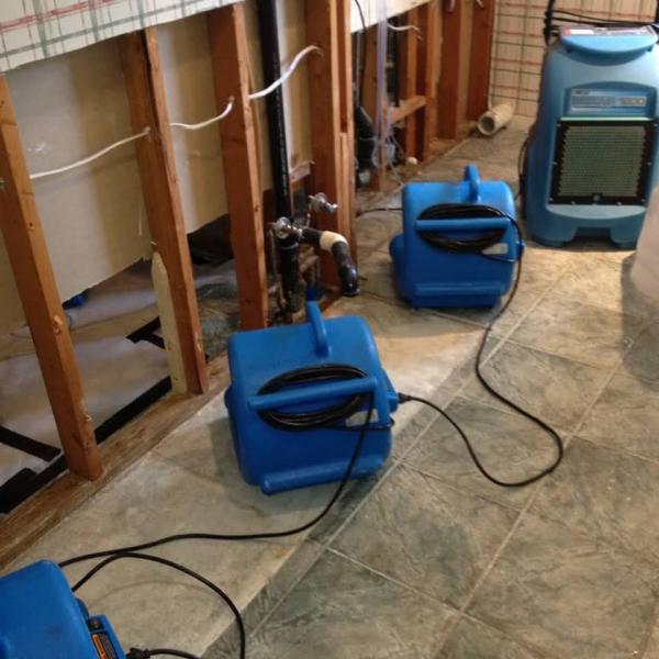 New Rochelle Mold Removal