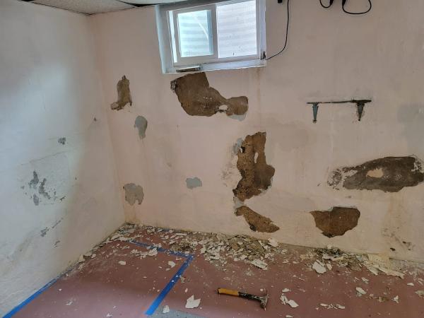New Rochelle Mold Removal
