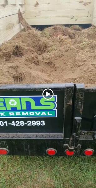 Jean's Junk Removal LLC
