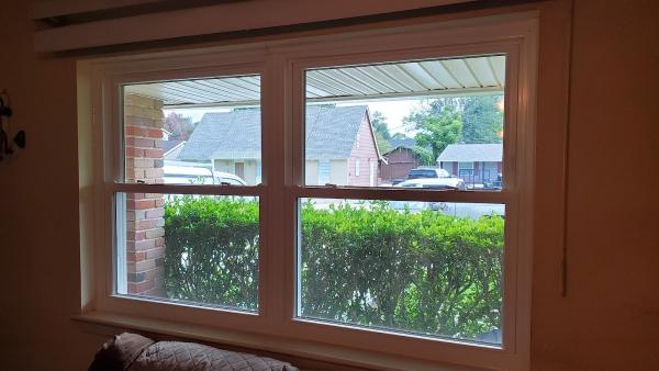 The Window Source