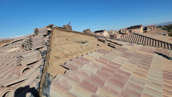 Fortitude Roofing