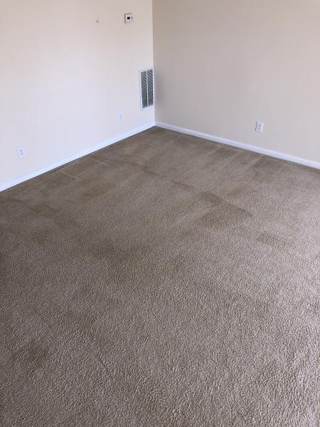 Target Carpet Care