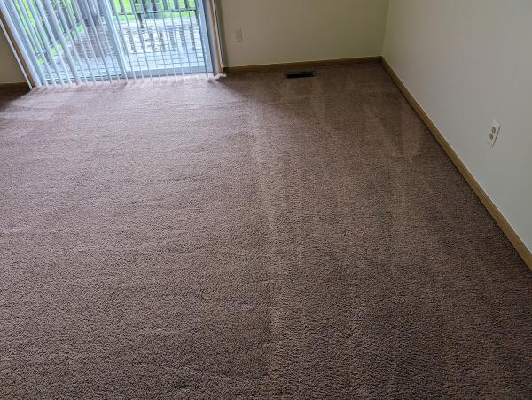 Taylor by Choice Carpet Cleaning