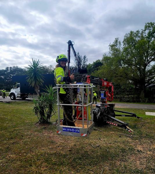 Tree Service Express