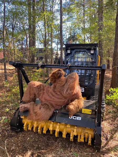 Bigfoot Forestry