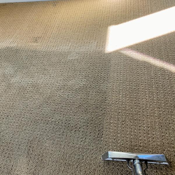 Extraction Plus Carpet & Upholstery Care