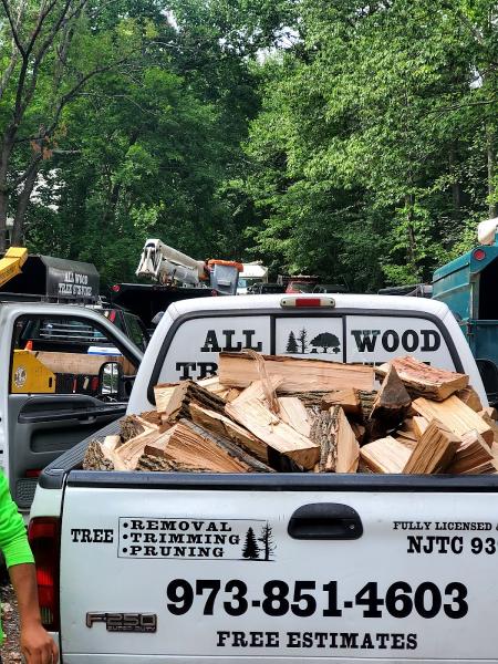 All Wood Tree Service