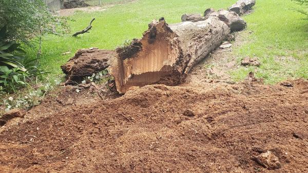 K & S Professional Stump Removal