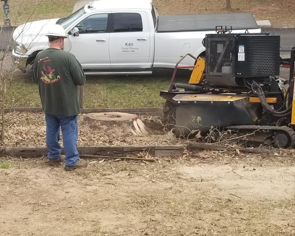 K & S Professional Stump Removal