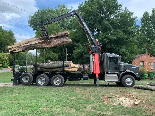 Skeen Tree Care