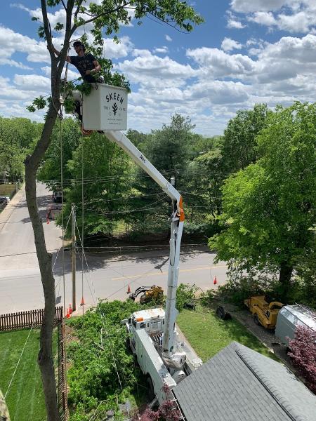 Skeen Tree Care