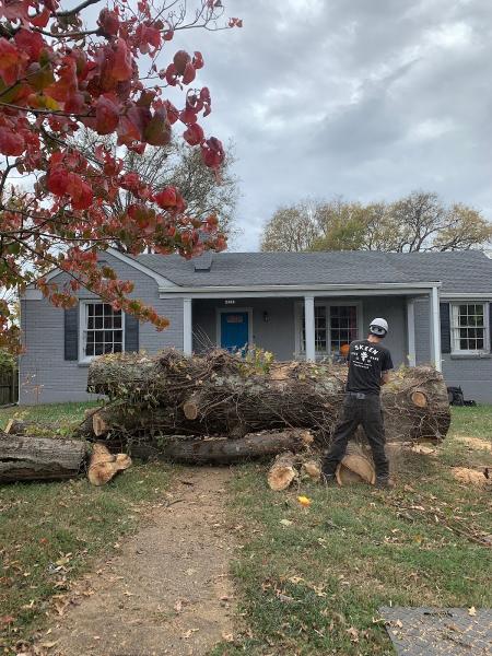 Skeen Tree Care