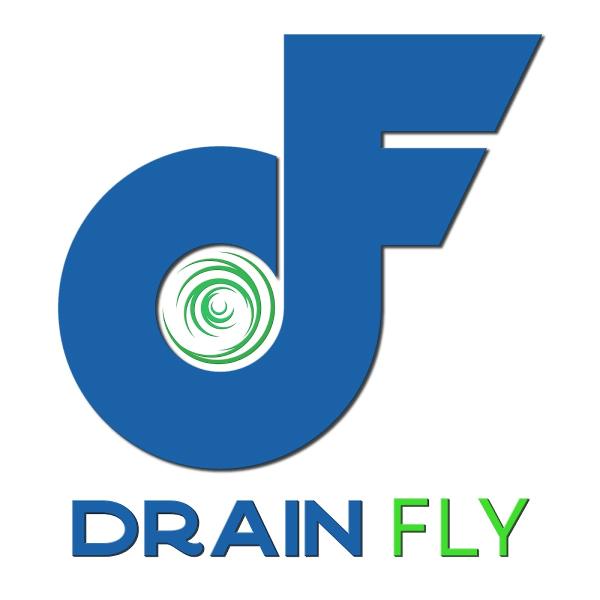 Drain Fly