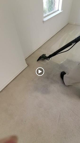 Unique Carpet Cleaning Plano