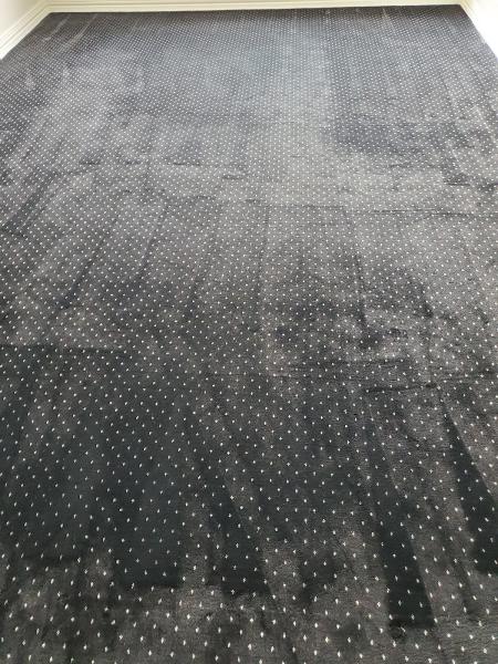 Unique Carpet Cleaning Plano