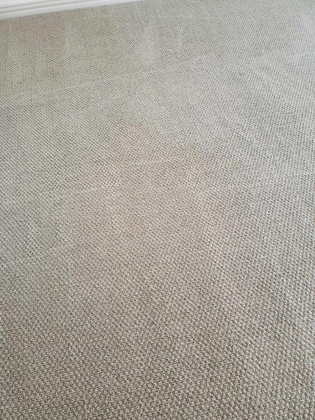 Unique Carpet Cleaning Plano