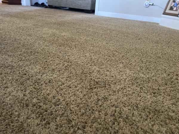 Carpet Pro Services