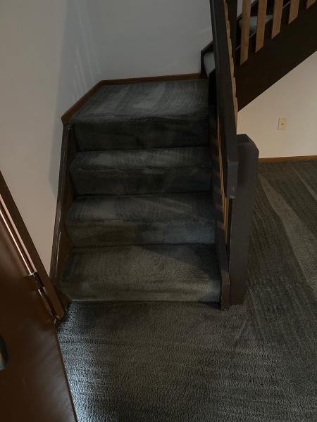 Carpet Pro Services