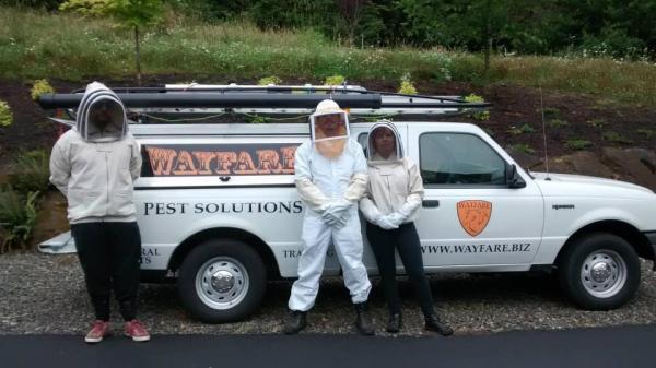 Wayfare Pest Solutions