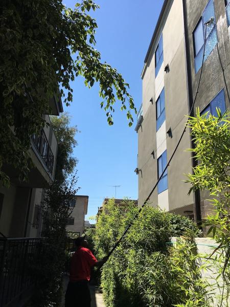 No Streak Window Cleaning Inc.