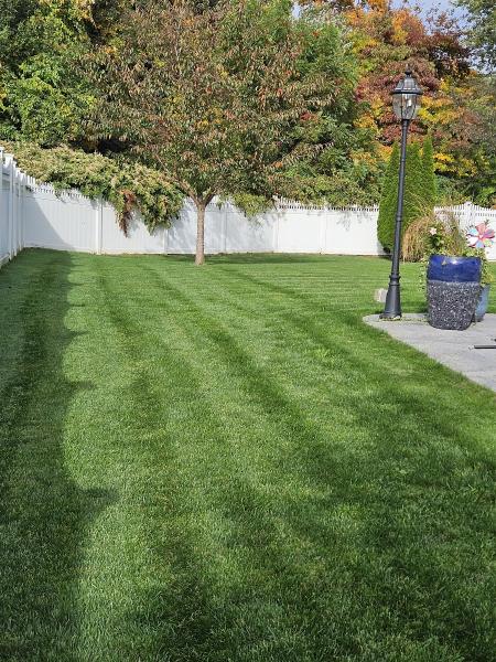 Naturally Green Lawn Care