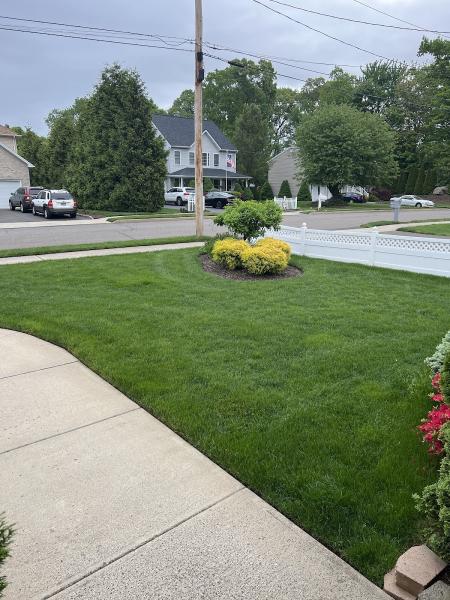 Naturally Green Lawn Care