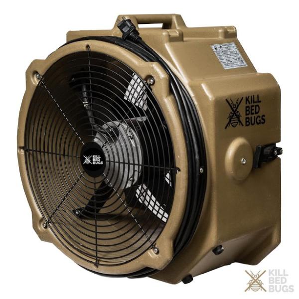 Kill Bed Bugs Dallas