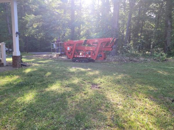 Top Notch Tree Service