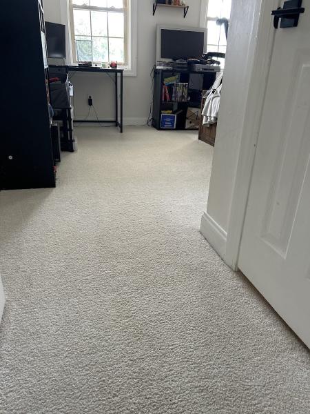 Zerorez Carpet Cleaning Columbia SC