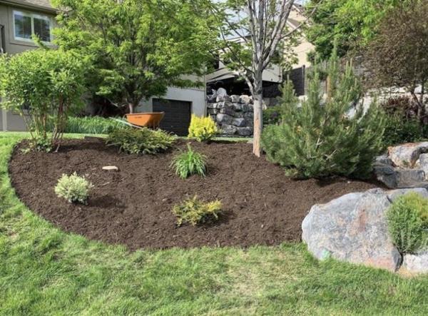 Fine Lines Lawn Care