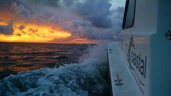 TI Coastal Services