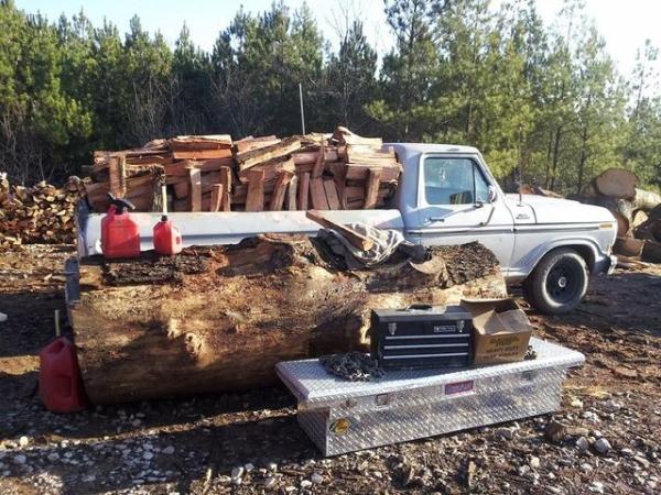 Paul Bunyan Tree Service