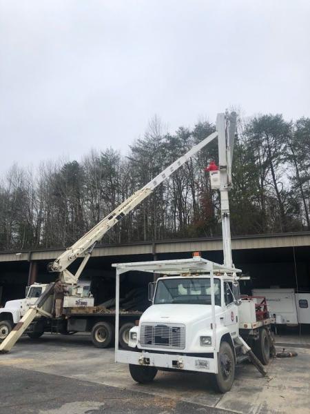 Paul Bunyan Tree Service