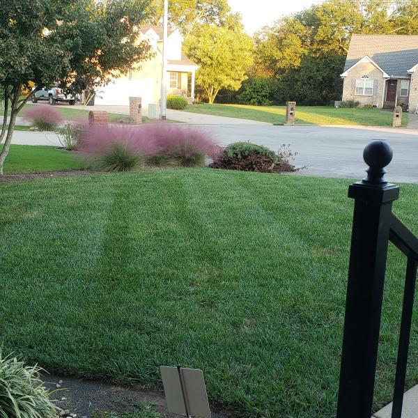 Secure Lawn