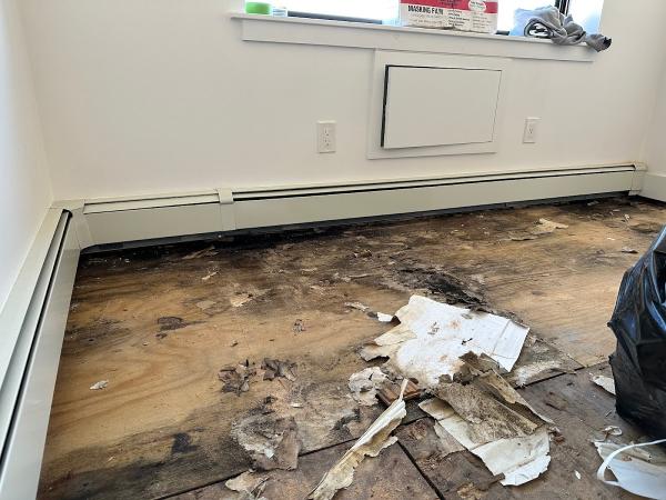 Precision Flooring & Painting