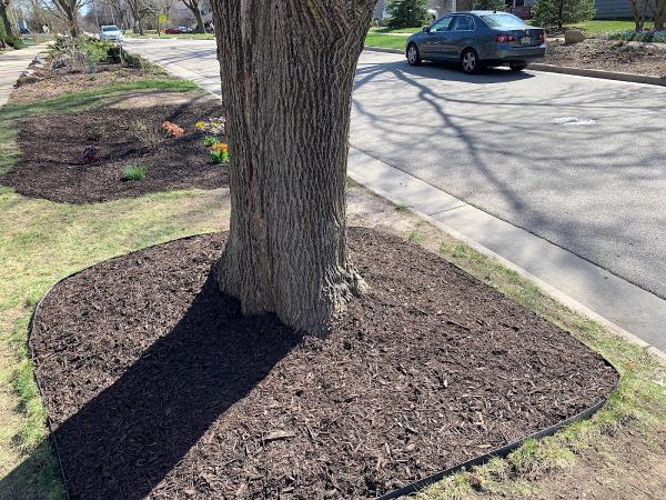 Stomata Lawn Care