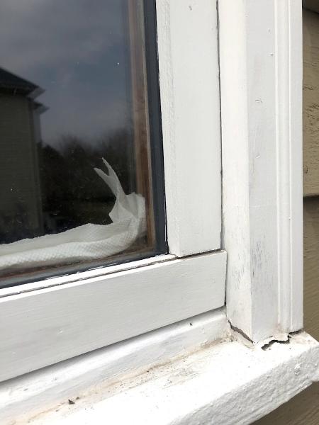 Window Repair & Glass Replacement Services