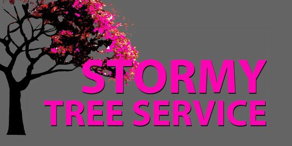 Stormy Tree Service
