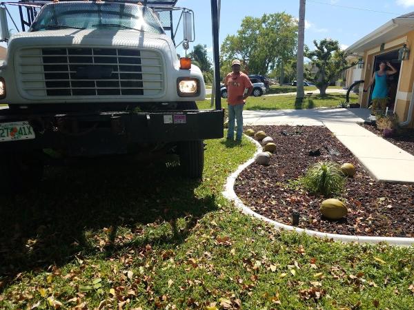 Lopez Tree Service Inc.