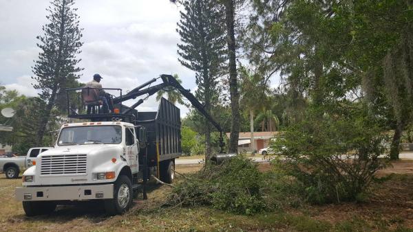 Lopez Tree Service Inc.