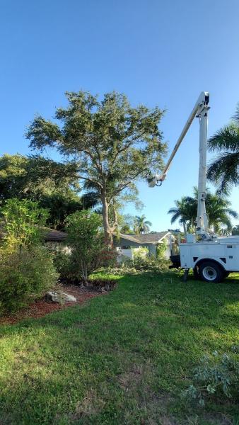 Lopez Tree Service Inc.