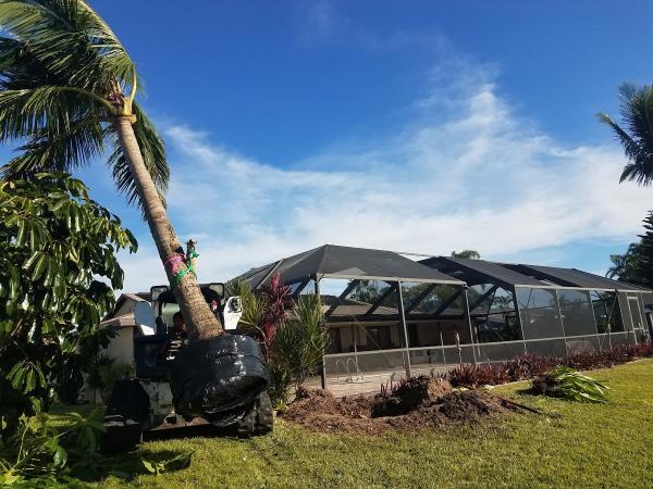 Lopez Tree Service Inc.