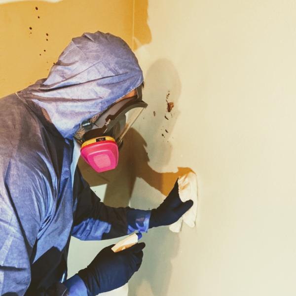 Nola Disinfect Crime Scene & Emergency Clean Up Services