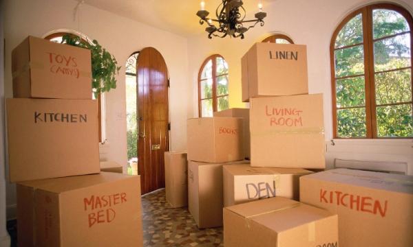 Amazing Movers