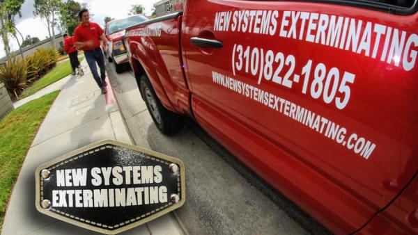New Systems Exterminating