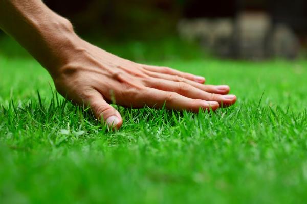 Turf Masters Lawn Care