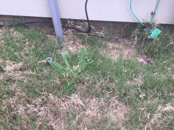 Turf Masters Lawn Care